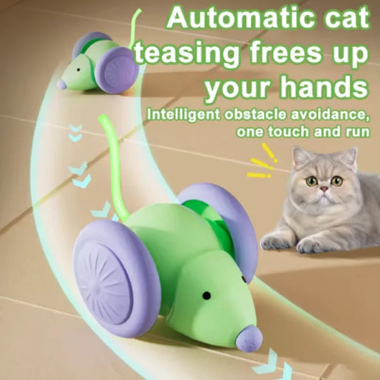 The Rolling Mouse
